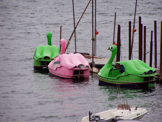 16. 5. 2006 11:28:37: Japonsko 2006 - Nikko - výletní labutě na jezeře Chuzenji-ko (Bobek)