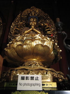 16. 5. 2006 15:33:19: Japonsko 2006 - Nikko - chrám Rinno-ji (Jehlička)