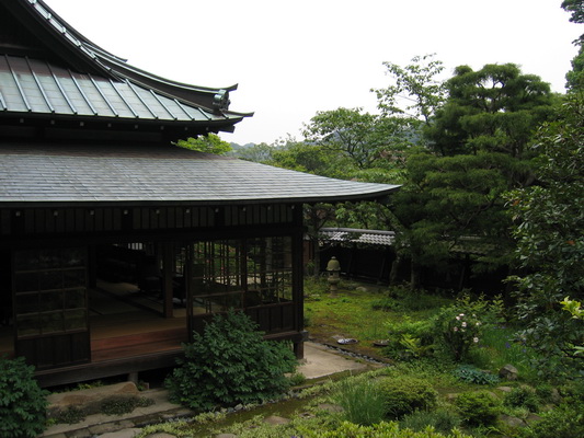 17. 5. 2006 11:31:21: Japonsko 2006 - Kamakura - chrám Tokei-ji (Terka)