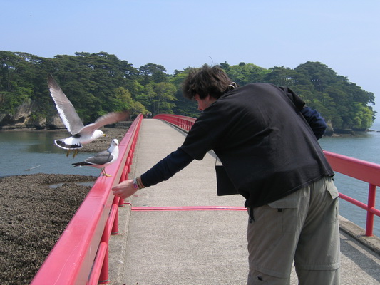 18. 5. 2006 13:15:02: Japonsko 2006 - Matsushima (Terka)