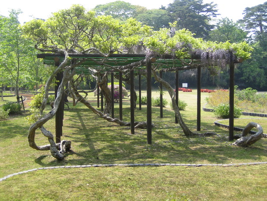 18. 5. 2006 13:51:29: Japonsko 2006 - Matsushima - ostrov Fukuura-jima s botanickou zahradou (Jehlička)