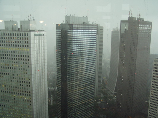 20. 5. 2006 16:11:00: Japonsko 2006 - Tokyo - Shinjuku - rozhled z budovy Tokyo Metropolitan Government Offices (Bobek)
