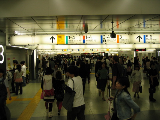 20. 5. 2006 17:52:37: Japonsko 2006 - Tokyo - Shinjuku station (nejrušnější stanice světa - 3,5 mil. lidí denně) (Terka)