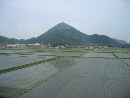 22. 5. 2006 16:10:01: Japonsko 2006 - rýžová pole (Terka)