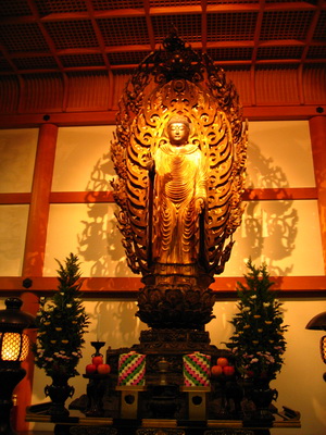 23. 5. 2006 15:55:34: Japonsko 2006 - Kyoto - chrám Chion-in (Terka)