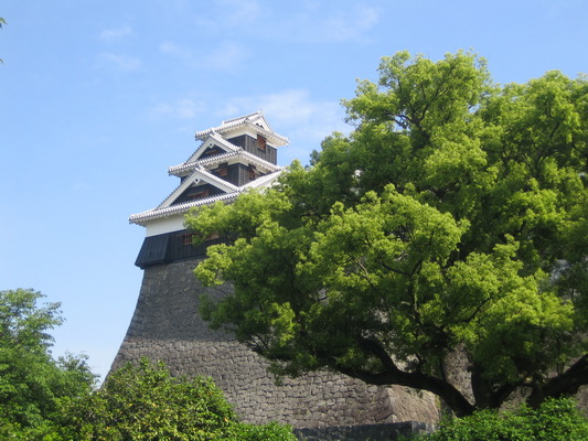 25. 5. 2006 8:45:06: Japonsko 2006 - Kumamoto - hrad (Jehlička)