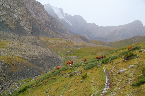 14. 8. 2014 14:03:47: Kyrgyzstán - 5. den treku, sestup do doliny Arašan (Vláďa)