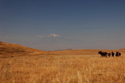Pláň nad vesnicí Geghard, v pozadí Ararat