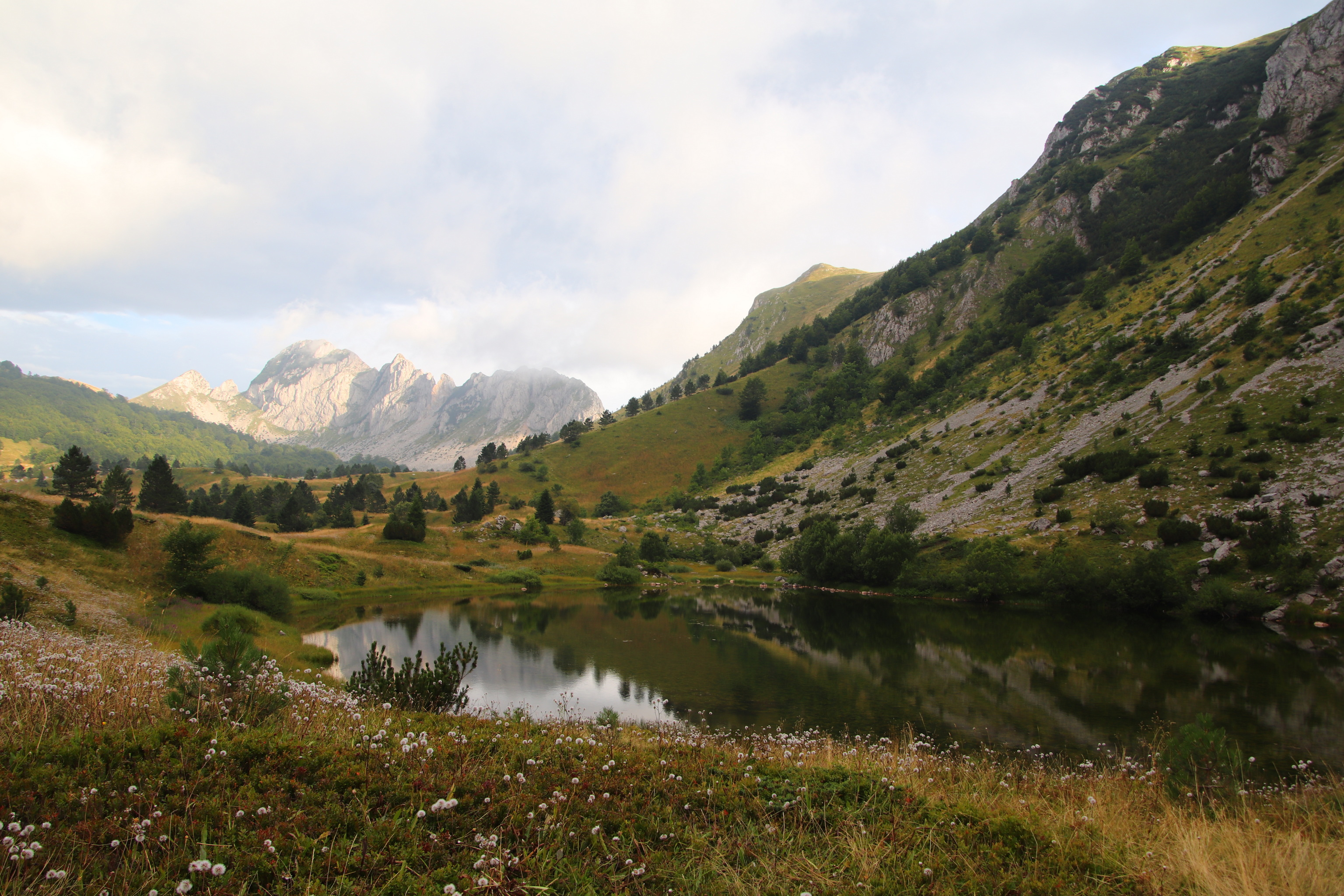 Gornje Bare