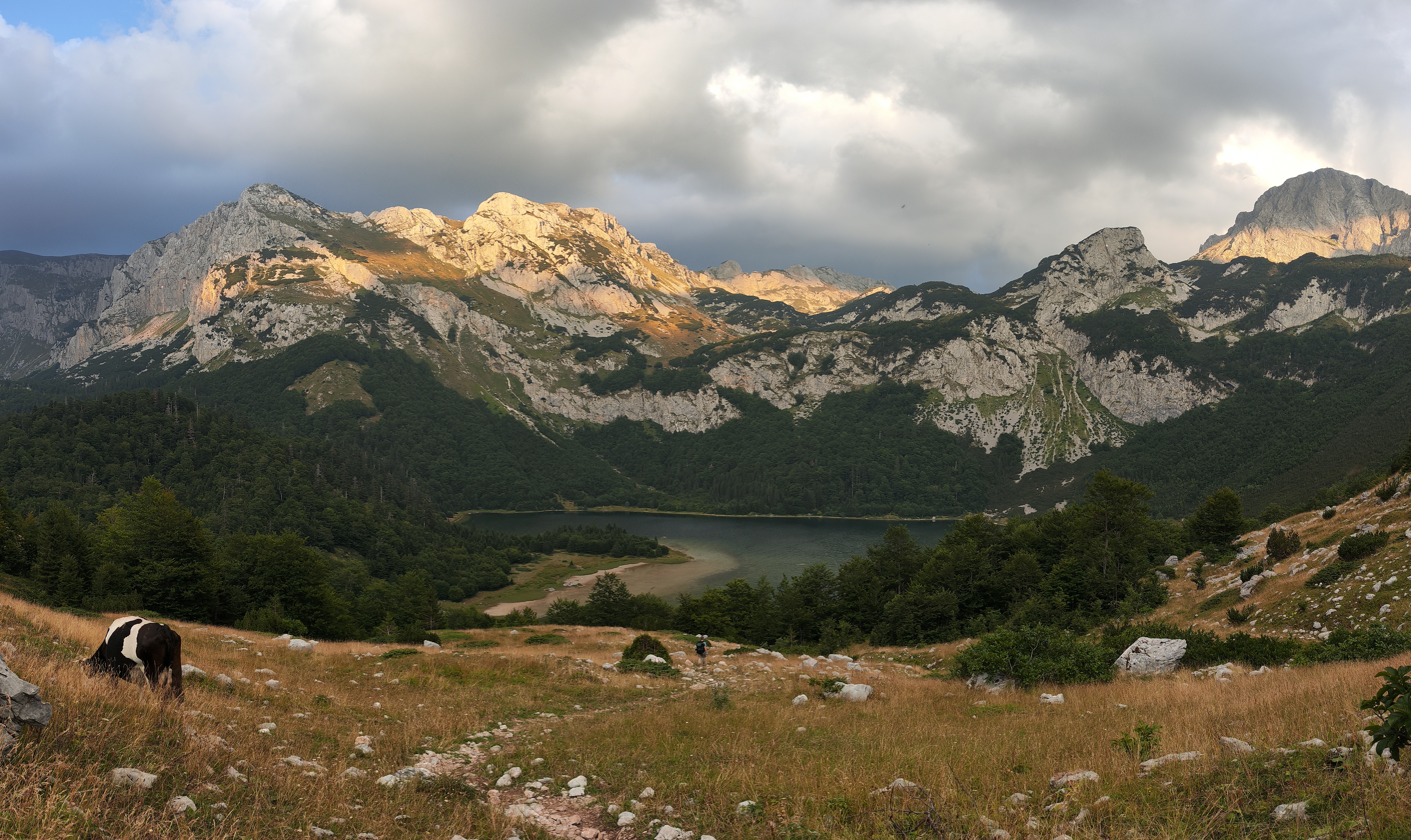 Trnovačko jezero