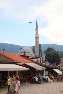 23. 8. 2023 16:21:14: Bosna 2023 - Sarajevo (Terka)