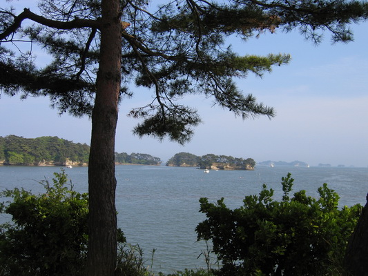 18. 5. 2006 15:44:30: Japonsko 2006 - Matsushima (Terka)