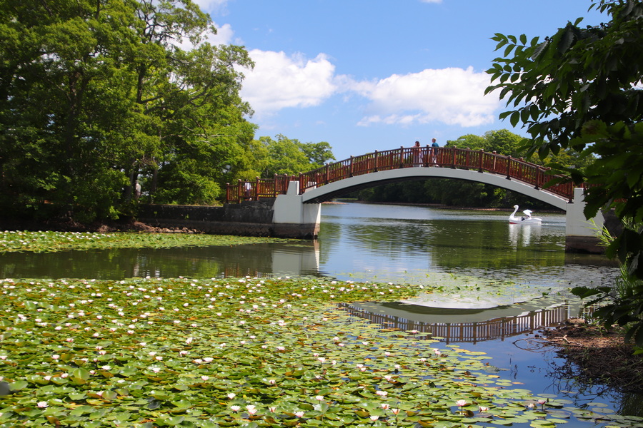 9. 8. 2025 10:19:20: Japonsko 2025 - Národní park Onuma Quasi