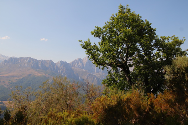 12.08.2026 17:01:35: Kantábrie 2026 - Pico Jano (Vláďa)