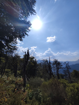 12.08.2026 17:09:36: Kantábrie 2026 - Pico Jano (Vláďa)