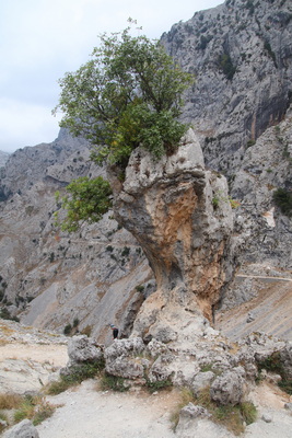 14.08.2026 14:49:20: Kantábrie 2026 - Garganta del Cares (Vláďa)