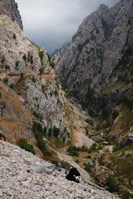 14.08.2026 16:04:07: Kantábrie 2026 - Garganta del Cares (Terka)