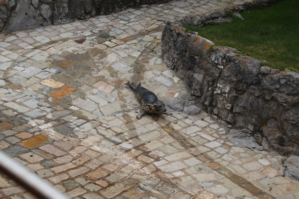 15.08.2026 12:47:24: Kantábrie 2026 - Santander (Vláďa)