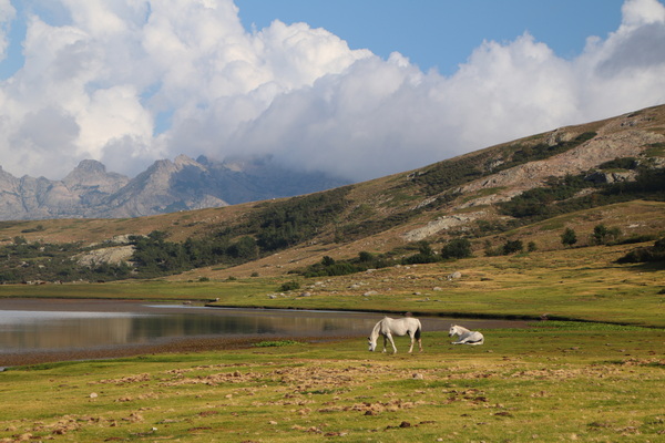 6. 8. 2024 18:23:09: Korsika 2024 - Jezero Nino