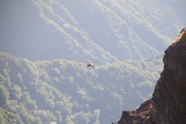 19. 8. 2021 9:26:08: Madeira 2021 - Cesta z Pico do Arieiro na Pico Ruivo (Vláďa)