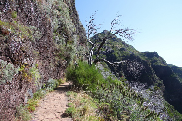 19. 8. 2021 11:03:39: Madeira 2021 - Cesta z Pico do Arieiro na Pico Ruivo (Vláďa)