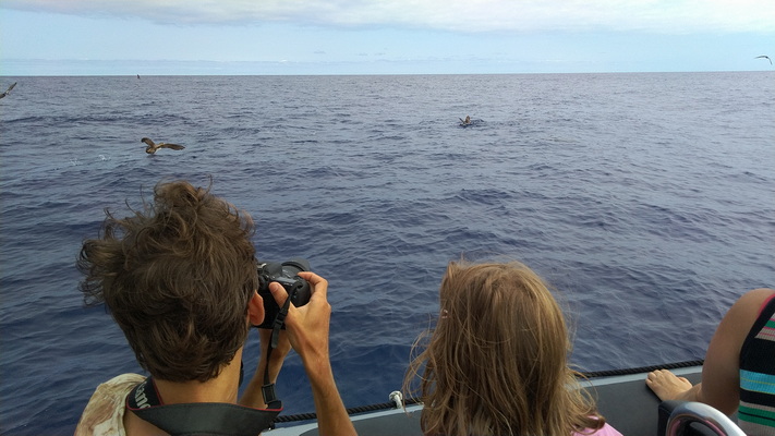 21. 8. 2021 17:39:07: Madeira 2021 - Pozorování delfínů a kulohlavců (Terka)