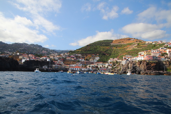 21. 8. 2021 18:13:49: Madeira 2021 - Pozorování delfínů a kulohlavců (Vláďa)