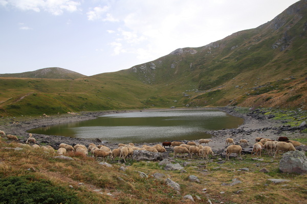 28.08.2026 17:02:22: Makedonie 2026 - Cesta z pod Titova vrchu k jezeru Karanikola (Vláďa)