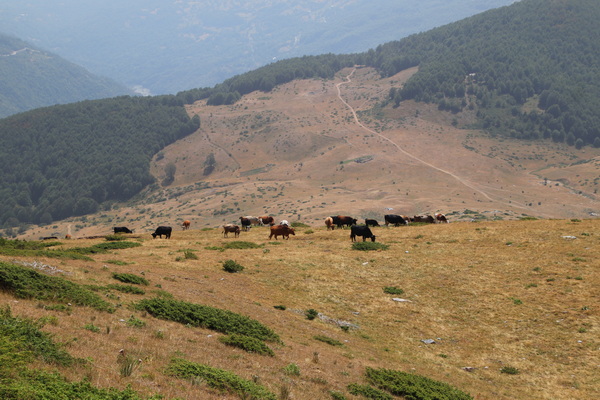 29.08.2026 12:34:35: Makedonie 2026 - Cesta pod Kobilicou do Vejce (Vláďa)