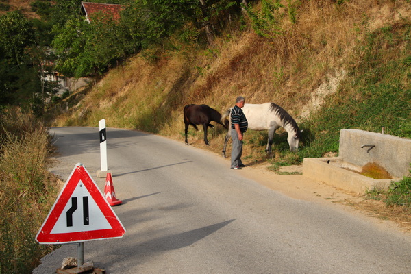 29.08.2026 17:18:12: Makedonie 2026 - Vejce (Terka)