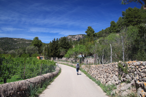 28. 3. 2024 13:15:36: Mallorca 2024 - Cesta z Esporles do Valldemossy (Vláďa)