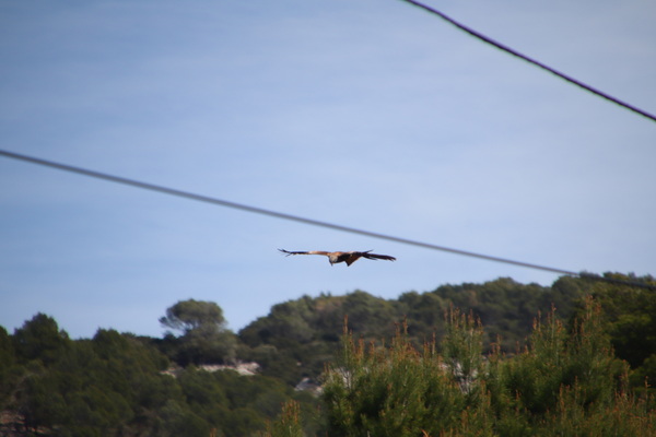 28. 3. 2024 13:29:02: Mallorca 2024 - Cesta z Esporles do Valldemossy (Vláďa)