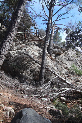 28. 3. 2024 14:17:53: Mallorca 2024 - Cesta z Esporles do Valldemossy (Vláďa)