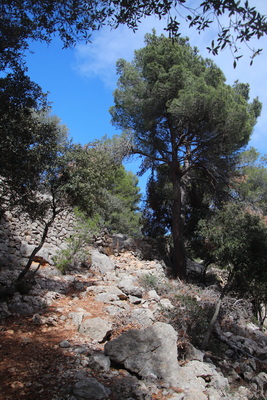 28. 3. 2024 14:26:22: Mallorca 2024 - Cesta z Esporles do Valldemossy (Vláďa)