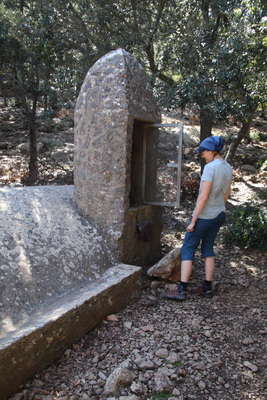 28. 3. 2024 14:55:08: Mallorca 2024 - Cesta z Esporles do Valldemossy (Vláďa)