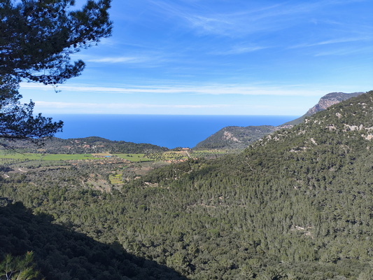 28. 3. 2024 15:05:51: Mallorca 2024 - Cesta z Esporles do Valldemossy - Pas dels Passets (Vláďa)