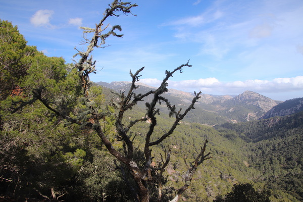 28. 3. 2024 15:36:25: Mallorca 2024 - Cesta z Esporles do Valldemossy (Vláďa)