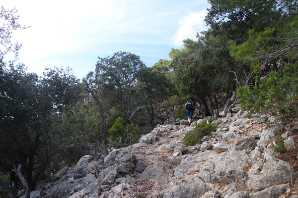 28. 3. 2024 16:00:37: Mallorca 2024 - Cesta z Esporles do Valldemossy (Vláďa)