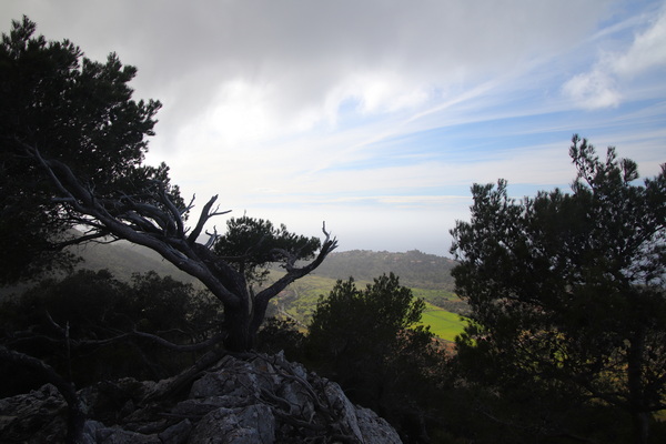 28. 3. 2024 16:12:19: Mallorca 2024 - Cesta z Esporles do Valldemossy (Vláďa)