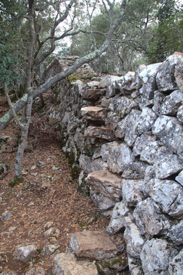 28. 3. 2024 16:43:31: Mallorca 2024 - Cesta z Esporles do Valldemossy (Vláďa)