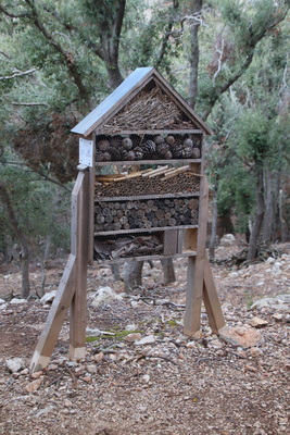 29. 3. 2024 8:51:26: Mallorca 2024 - Cesta z Valldemossy do Deiy (Vláďa)