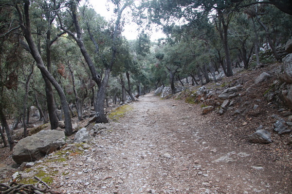 29. 3. 2024 8:58:02: Mallorca 2024 - Cesta z Valldemossy do Deiy (Vláďa)