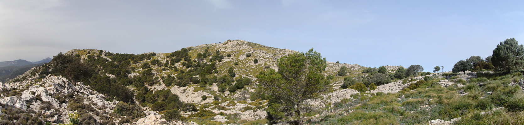 29. 3. 2024 10:24:09: Mallorca 2024 - Cesta z Valldemossy do Deiy - Puig Gros (938 m.n.m.) (Vláďa)