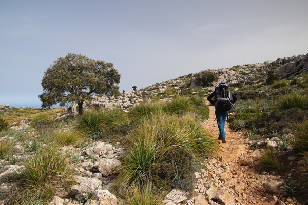 29. 3. 2024 10:25:59: Mallorca 2024 - Cesta z Valldemossy do Deiy (Vláďa)