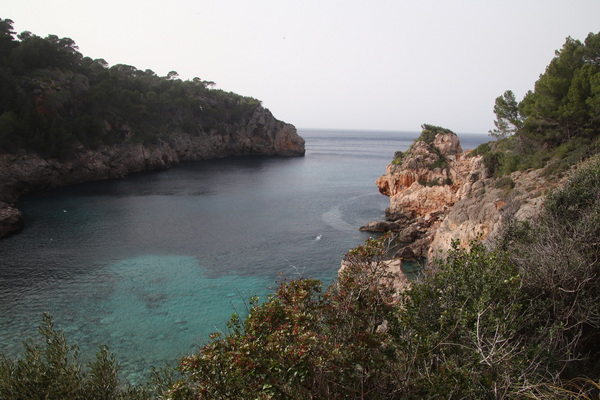 29. 3. 2024 16:42:50: Mallorca 2024 - Cesta z Deiy do Port de Sóller - Cala Deia (Vláďa)