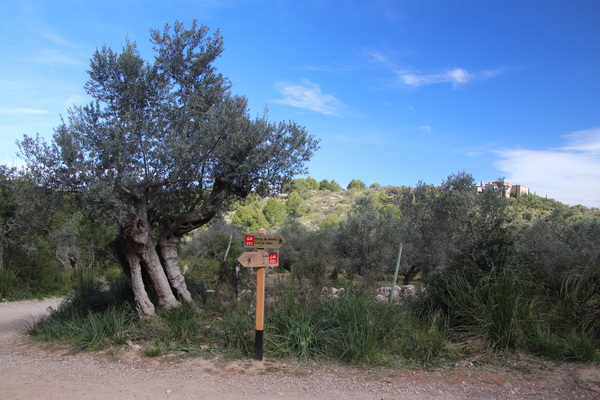 30. 3. 2024 10:22:37: Mallorca 2024 - Cesta z Deiy do Port de Sóller (Vláďa)