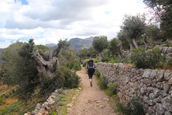 30. 3. 2024 10:50:59: Mallorca 2024 - Cesta z Deiy do Port de Sóller