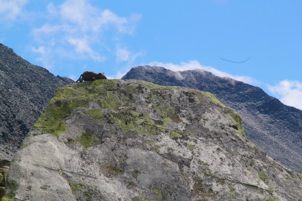 18. 8. 2016 13:37:33: Norsko 2016 - Rondane - Cesta od chaty Doralsater k chatě Rondvassbu, údolí mezi horami Storsmeden a Trolltinden (Vláďa)