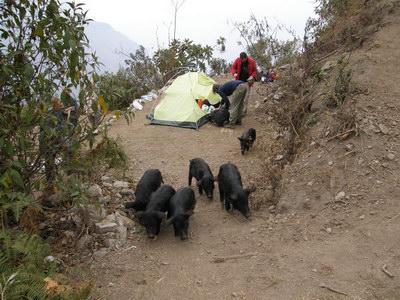 18. 9. 2007 6:59:32: Peru 2007 - 5. den treku - kemp (Bobek)