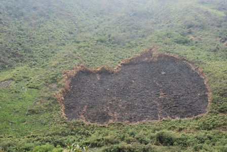 20. 9. 2007 15:57:04: Peru 2007 - 7. den treku - vypalované pole (Dond)